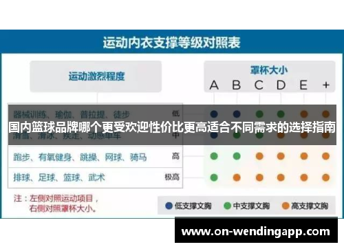 国内篮球品牌哪个更受欢迎性价比更高适合不同需求的选择指南