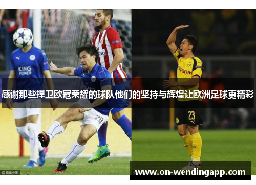 感谢那些捍卫欧冠荣耀的球队他们的坚持与辉煌让欧洲足球更精彩