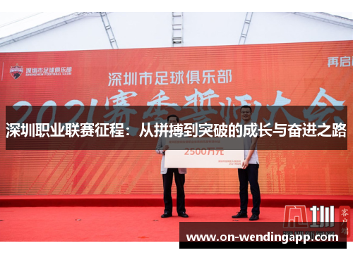 深圳职业联赛征程：从拼搏到突破的成长与奋进之路