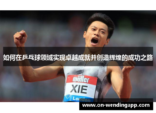 如何在乒乓球领域实现卓越成就并创造辉煌的成功之路