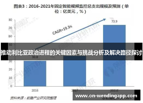 推动利比亚政治进程的关键因素与挑战分析及解决路径探讨