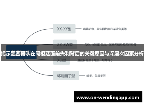揭示墨西哥队在阿根廷面前失利背后的关键原因与深层次因素分析