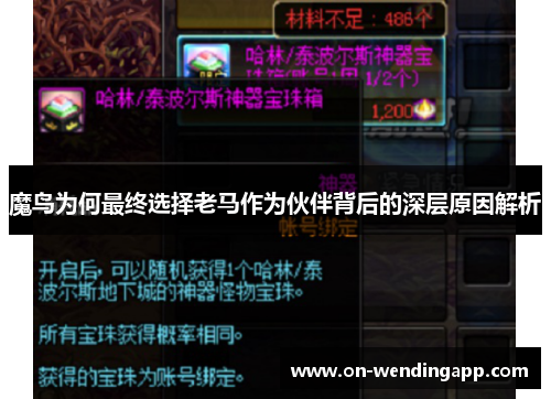 魔鸟为何最终选择老马作为伙伴背后的深层原因解析