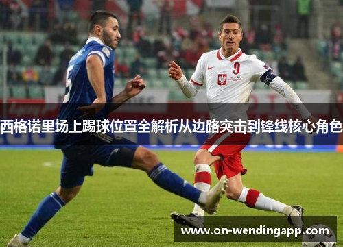 /uploads/images/20251019/xi-ge-nuo-li-chang-shang-ti-qiu-wei-zhi-quan-jie-xi-cong-bian-lu-tu-ji-dao-feng-xian-he-xin-jue-se.webp